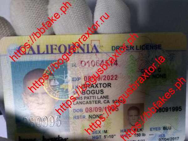 California Over 21(Old CA O21) - Image 4