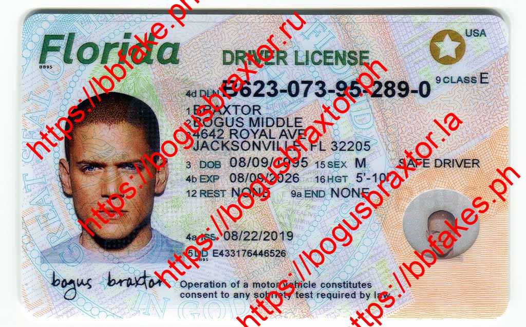 Florida Fake ID - Bogus Braxtor Fake ID