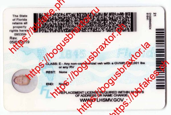 Florida(New FL U21 DRIVER V2) - Image 2