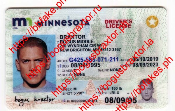 Minnesota(New MN)
