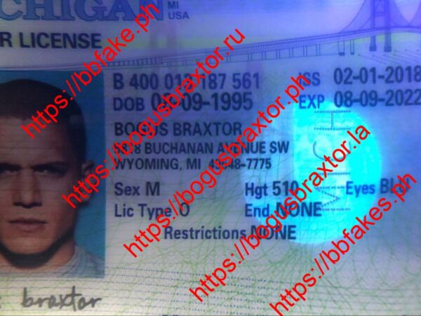 Michigan Fake ID - Image 3