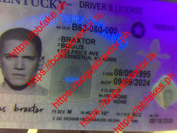 Kentucky(KY) - Image 2