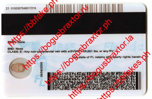 Florida Learner Fake ID - Image 2