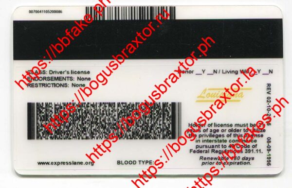 Louisiana Fake ID - Image 4