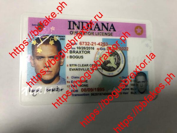 Indiana(Old IN) - Image 3