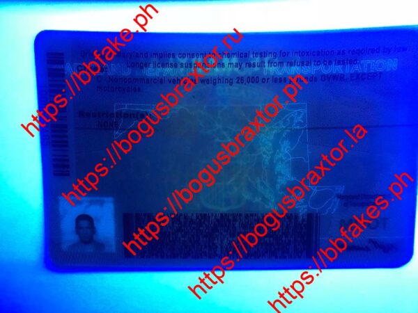 Maryland(New MD) - Image 2