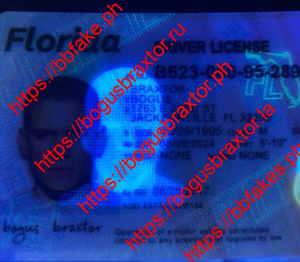 Florida Fake ID - Image 2