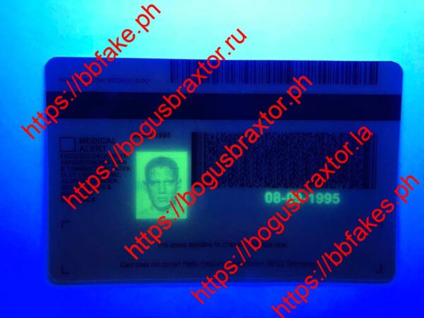 Michigan Fake ID - Image 2