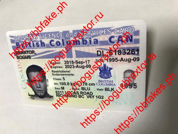 CAN British Columbia(CAN BC) - Image 3