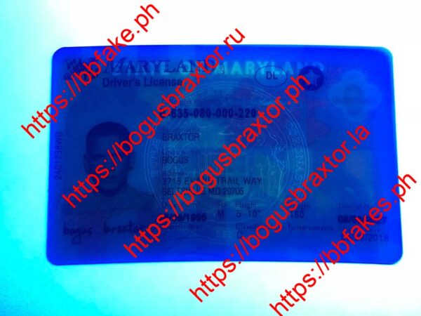 Maryland(New MD) - Image 3