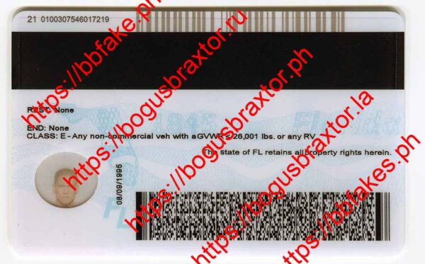 Florida Fake ID - Image 3