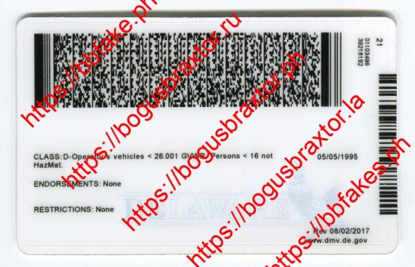 Delaware Fake ID - Image 3
