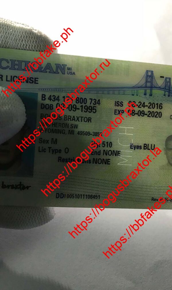 Michigan Fake ID - Image 5