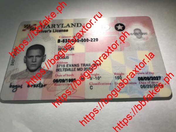 Maryland(New MD) - Image 5