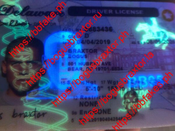 Delaware Fake ID - Image 2