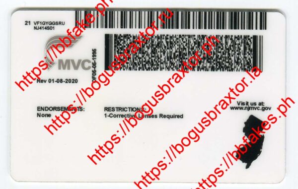 New Jersey(NJ 2021) - Image 2
