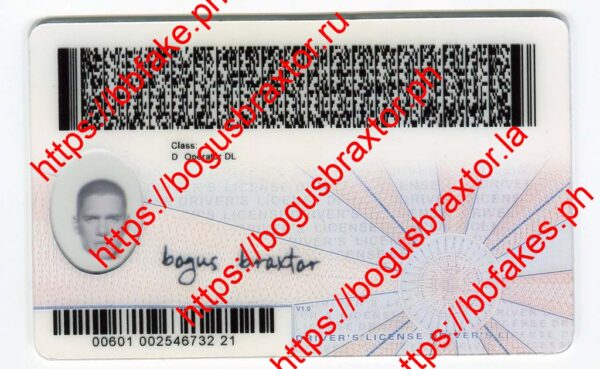 Virginia Fake ID - Image 4