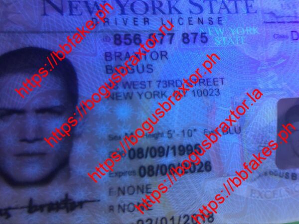 New York V3(NY O21 V3) - Image 3