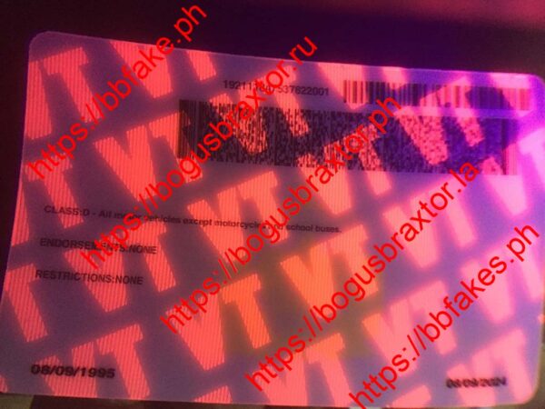 Vermont Fake ID - Image 2