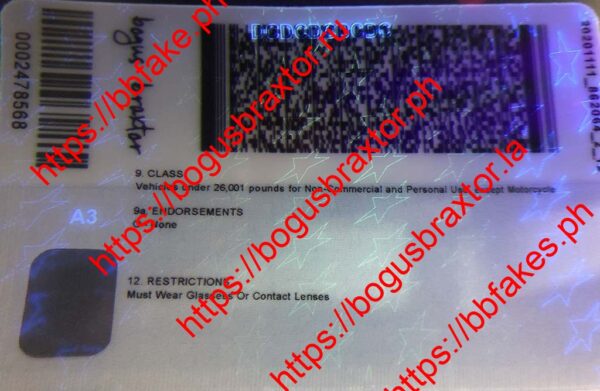 Washington DC Fake ID - Image 2