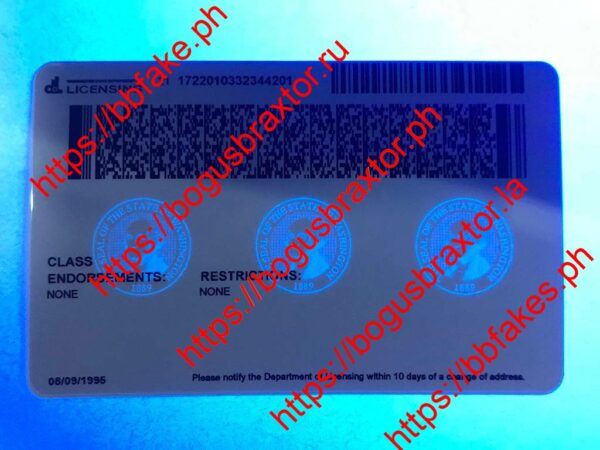 Washington Fake ID - Image 2