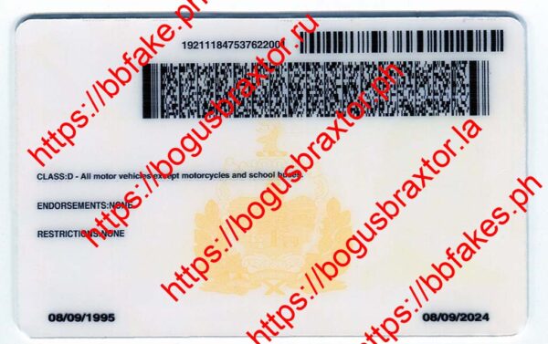 Vermont Fake ID - Image 4
