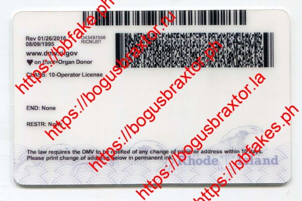 Rhode Island Fake ID - Image 2