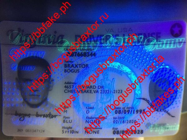 Virginia Fake ID - Image 3