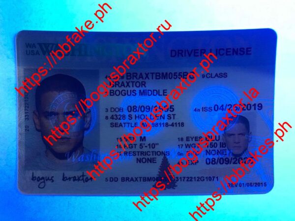 Washington Fake ID - Image 3
