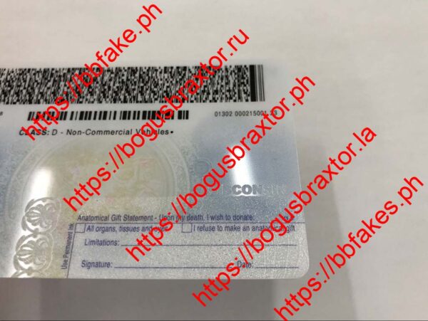 Wisconsin Fake ID - Image 3
