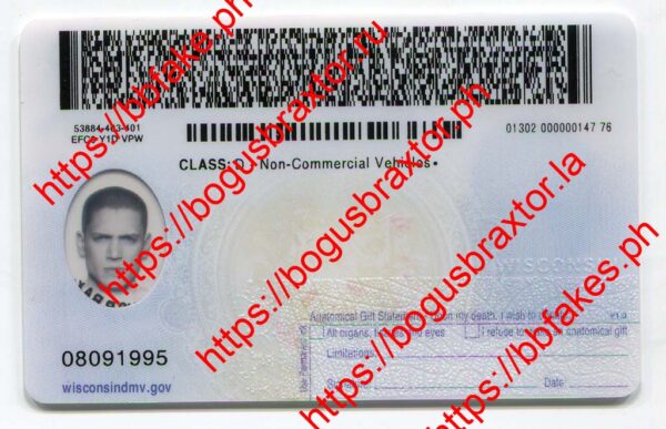 Wisconsin Fake ID - Image 5