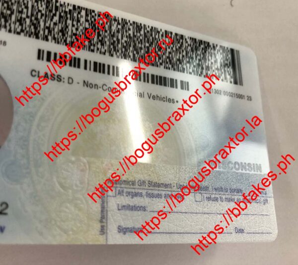 Wisconsin Fake ID - Image 2