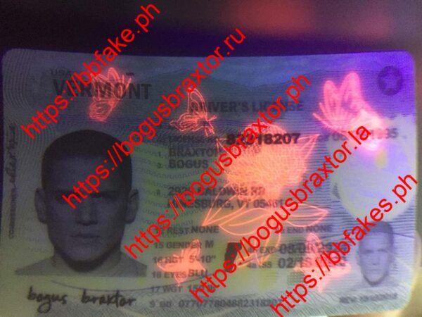 Vermont Fake ID - Image 3