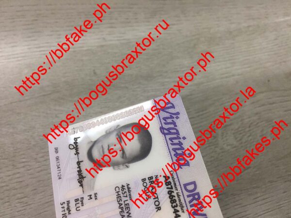 Virginia Fake ID - Image 2
